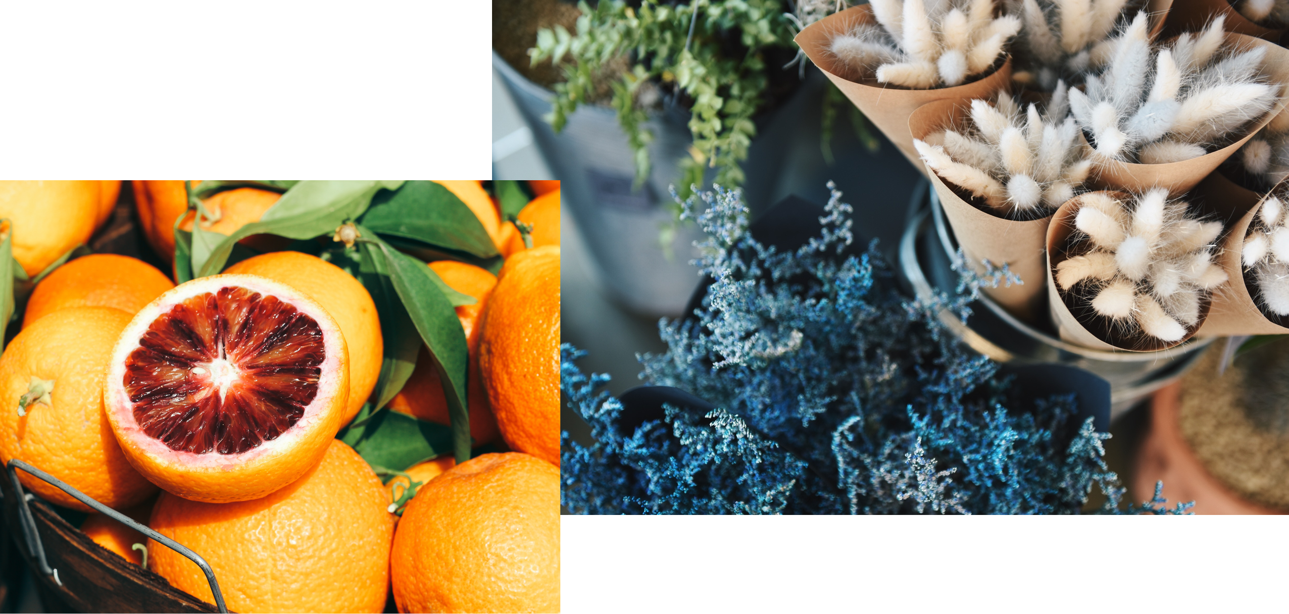 Blutorangen, Lavendel und weitere Kräuter am Marktstand